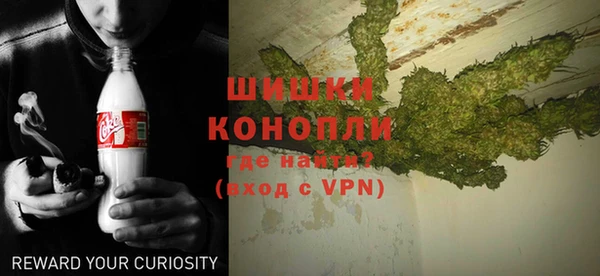 ГАЛЛЮЦИНОГЕННЫЕ ГРИБЫ Няндома