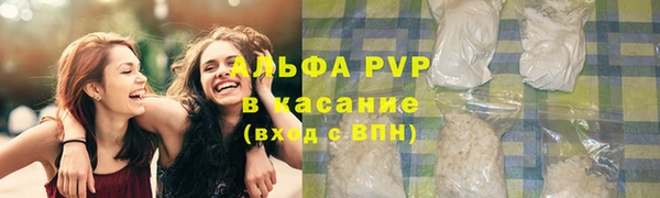 ГАЛЛЮЦИНОГЕННЫЕ ГРИБЫ Няндома