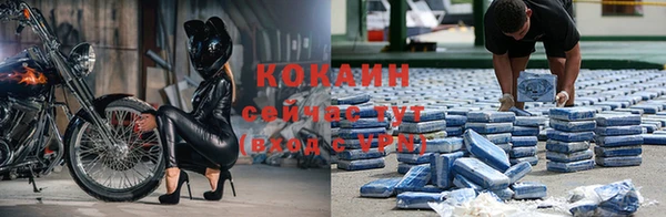 тгк Белокуриха