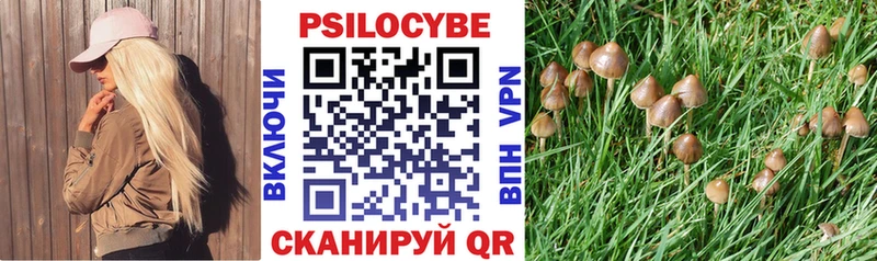 Галлюциногенные грибы Magic Shrooms  Чекалин 